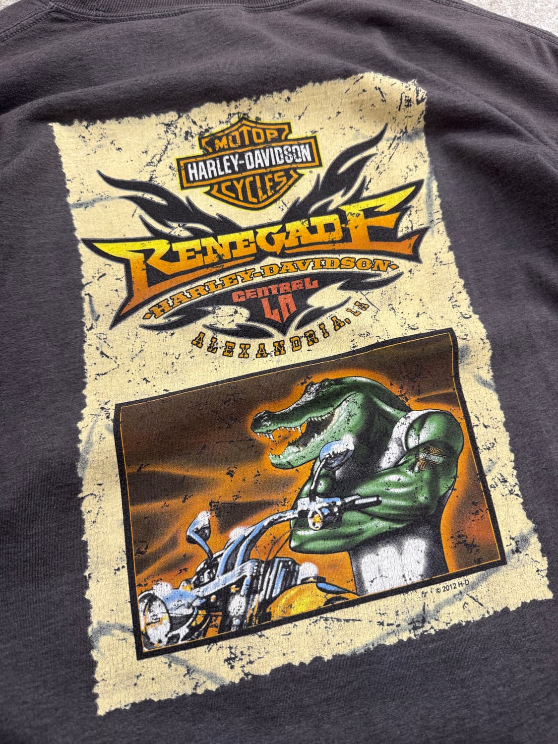 할리데이비슨 일레트로닉 플레임 롱슬리브 상품이미지6