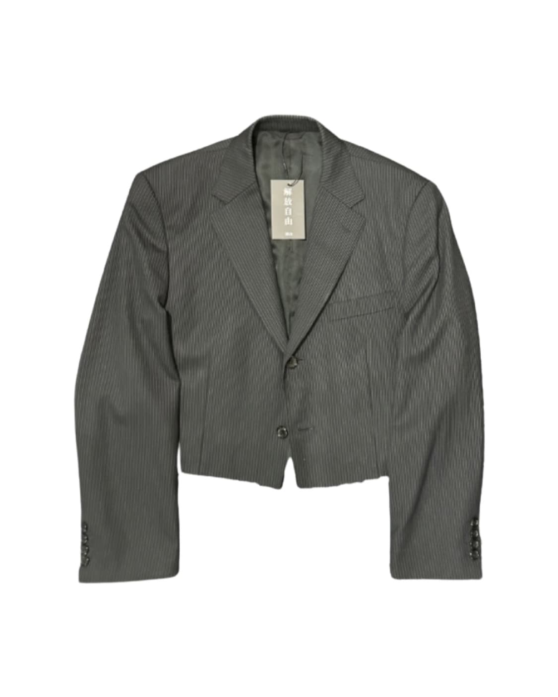 解放自由 Remake Cutoff Crop Blazer 상품이미지1