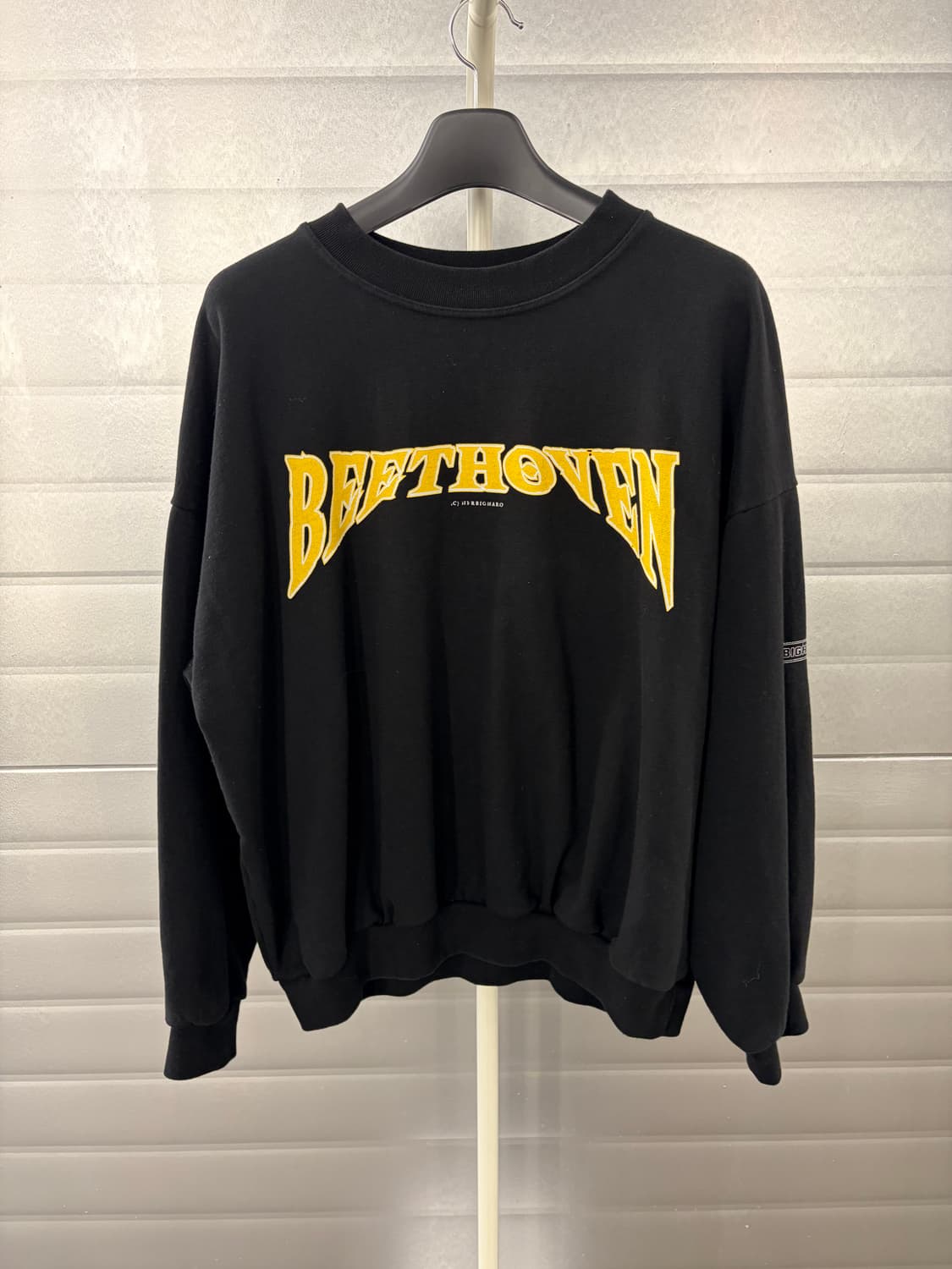 HERBIGHARO 박효신 베토벤 허비그하로 맨투맨 상품이미지2