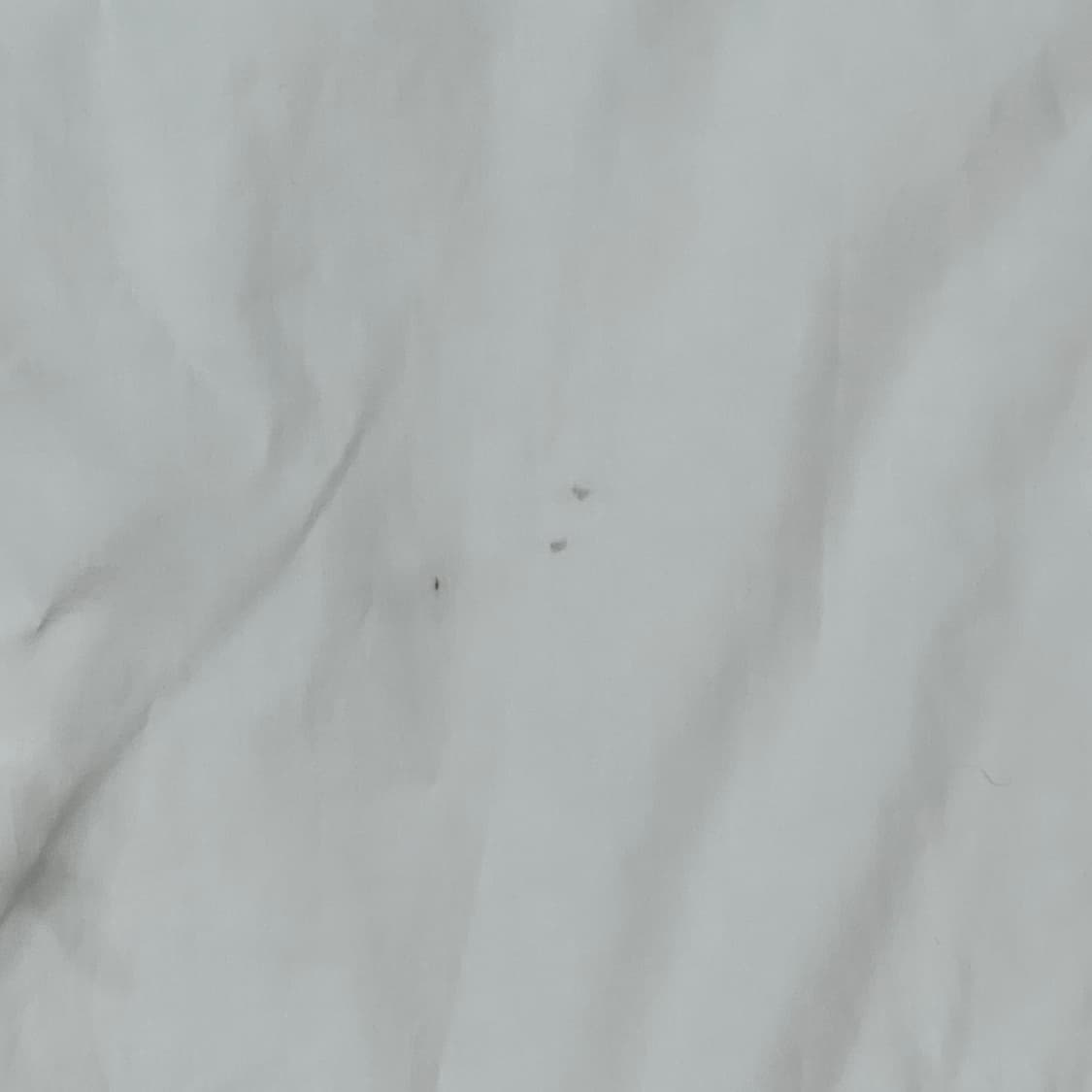 꼼데가르송 블랙하트와펜 셔츠 s06765 상품이미지8