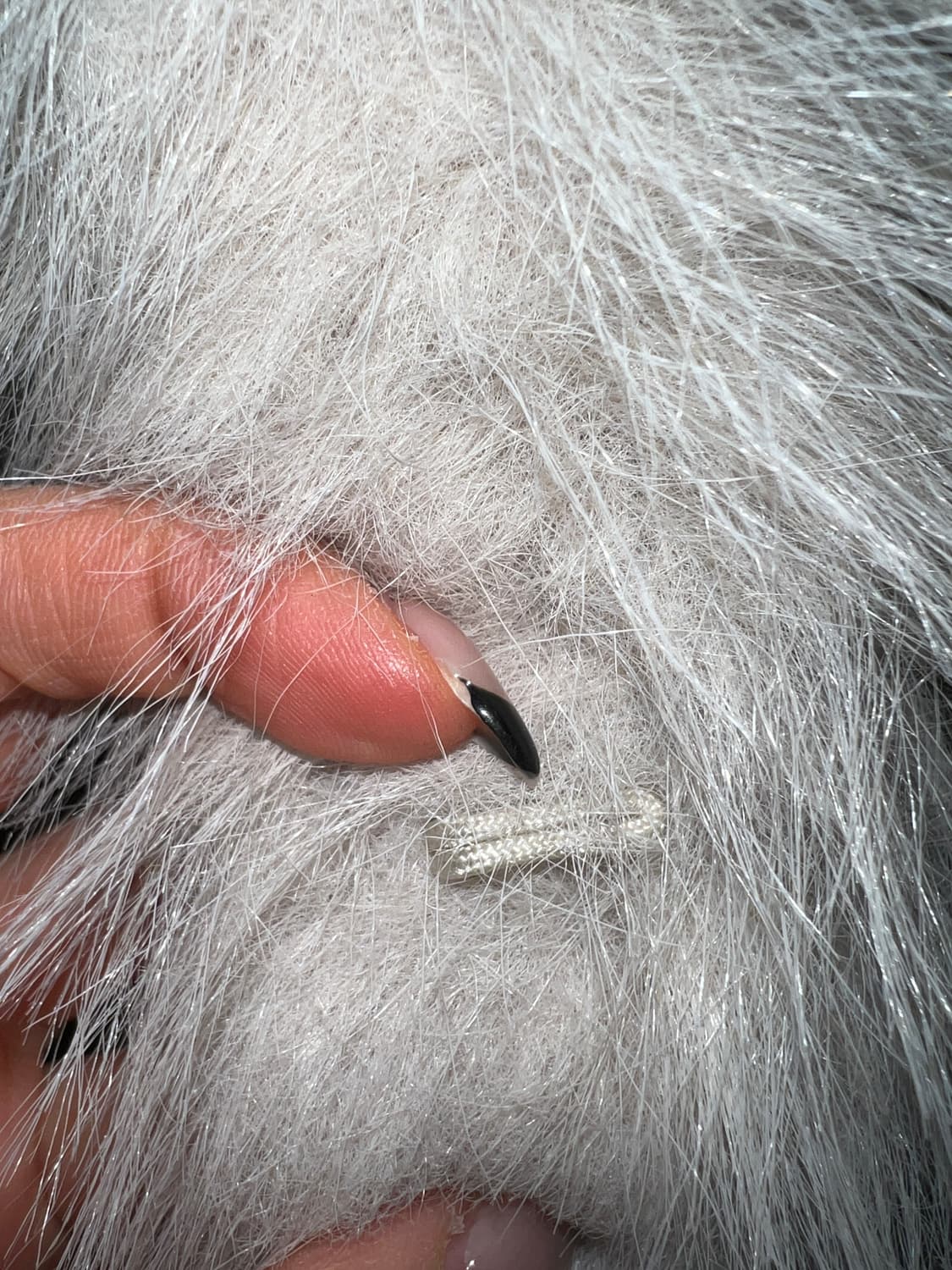 ZARA FUR JACKET 자라 퍼 자켓 상품이미지3