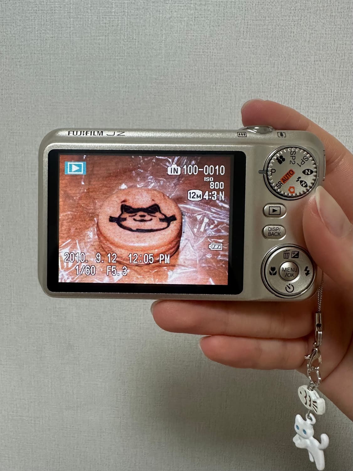 Fujiflim 후지필름 파인픽스 JZ300 빈티지디카 상품이미지5