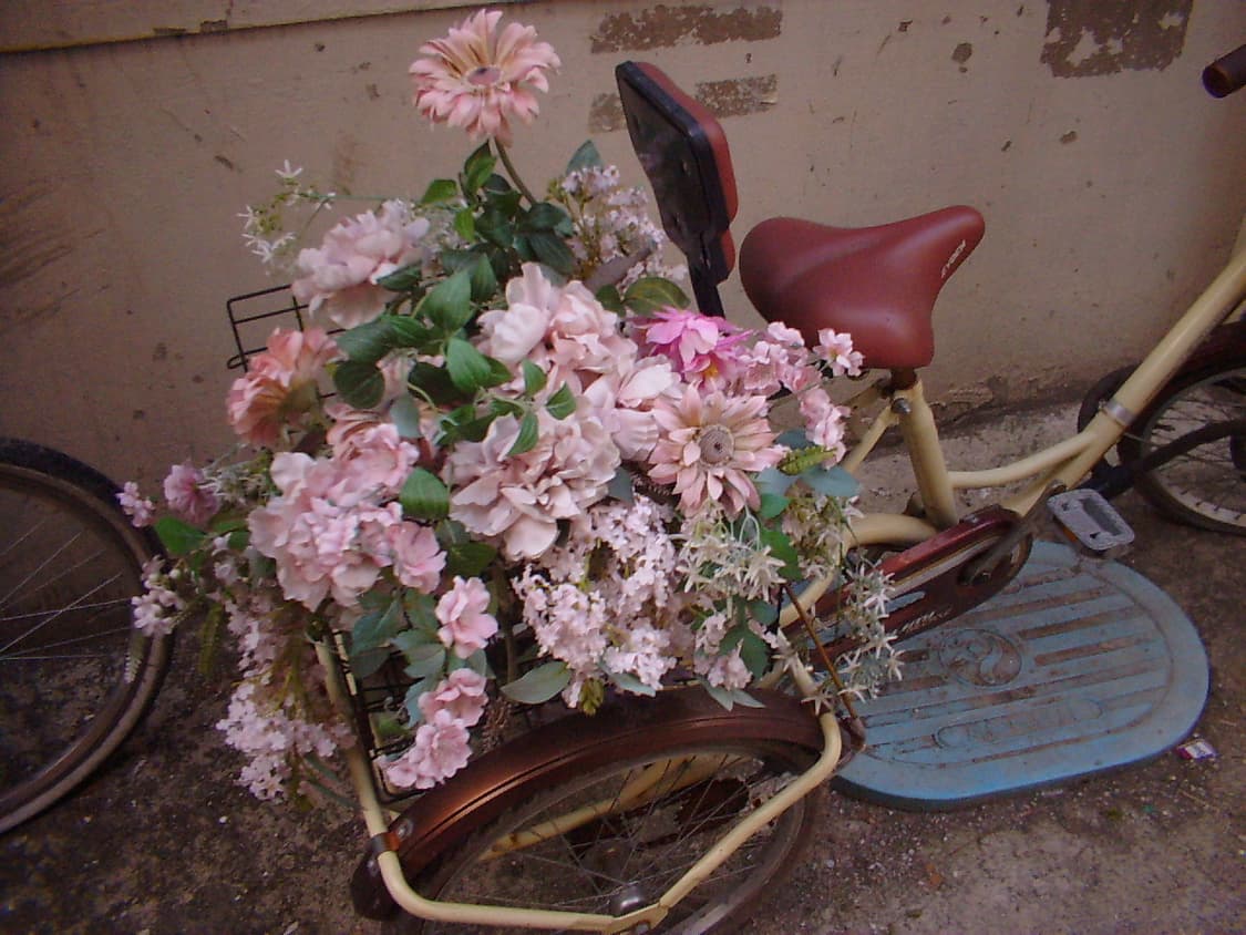 카시오 GV-10 희귀 빈티지 디카 [작례ㅇ] 상품이미지7