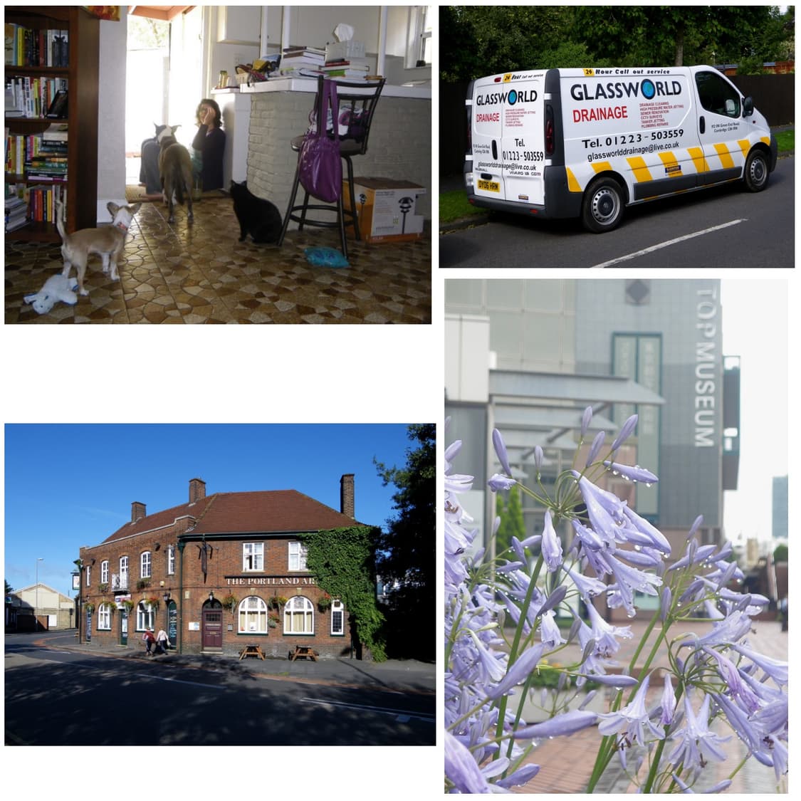 펜탁스 옵티오 p70 상품이미지2