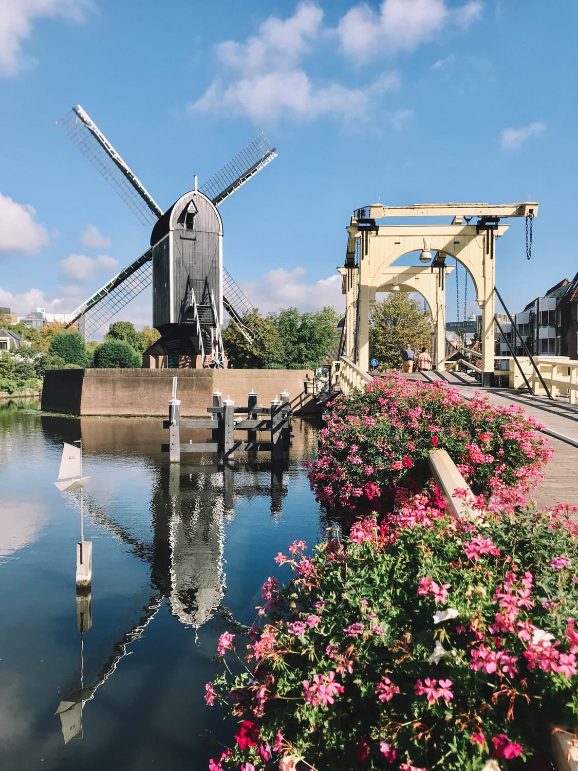 Nikon COOLPIX 4500 (니콘 쿨픽스 4500) 상품이미지8