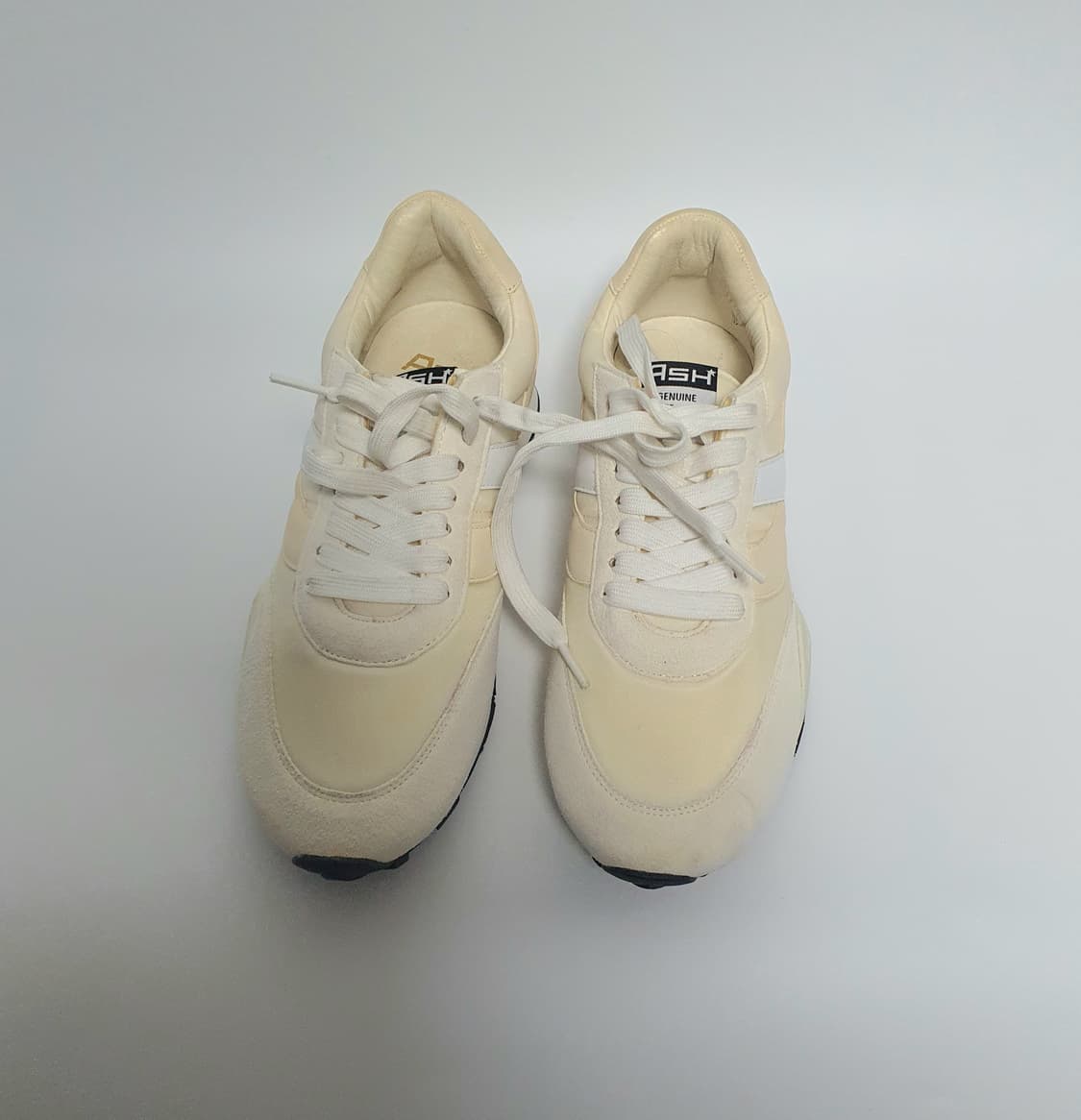 Ash 아쉬 스파이더 여자 스니커즈 240  상품이미지2