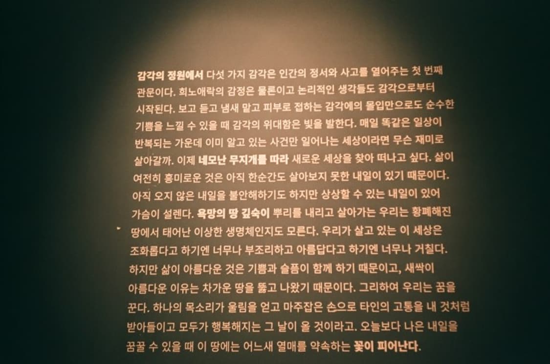 니콘 AF600 필름 카메라 (빈티지 카메라) 상품이미지7