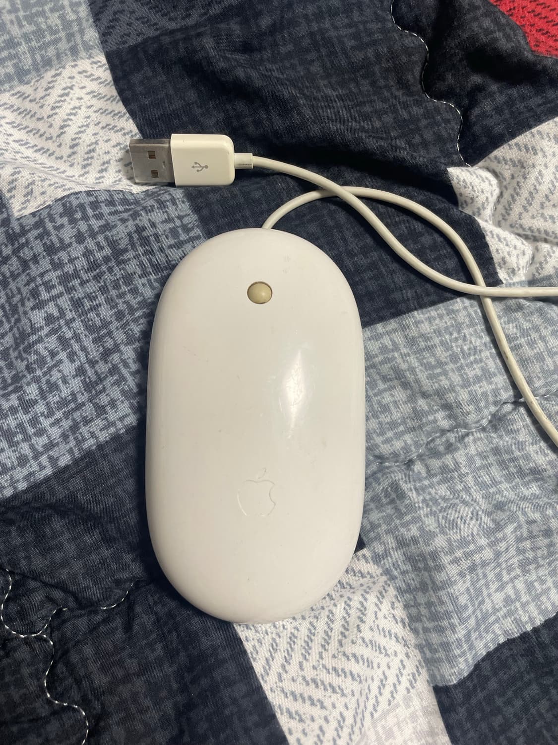 애플 유선 마우스 상품이미지1