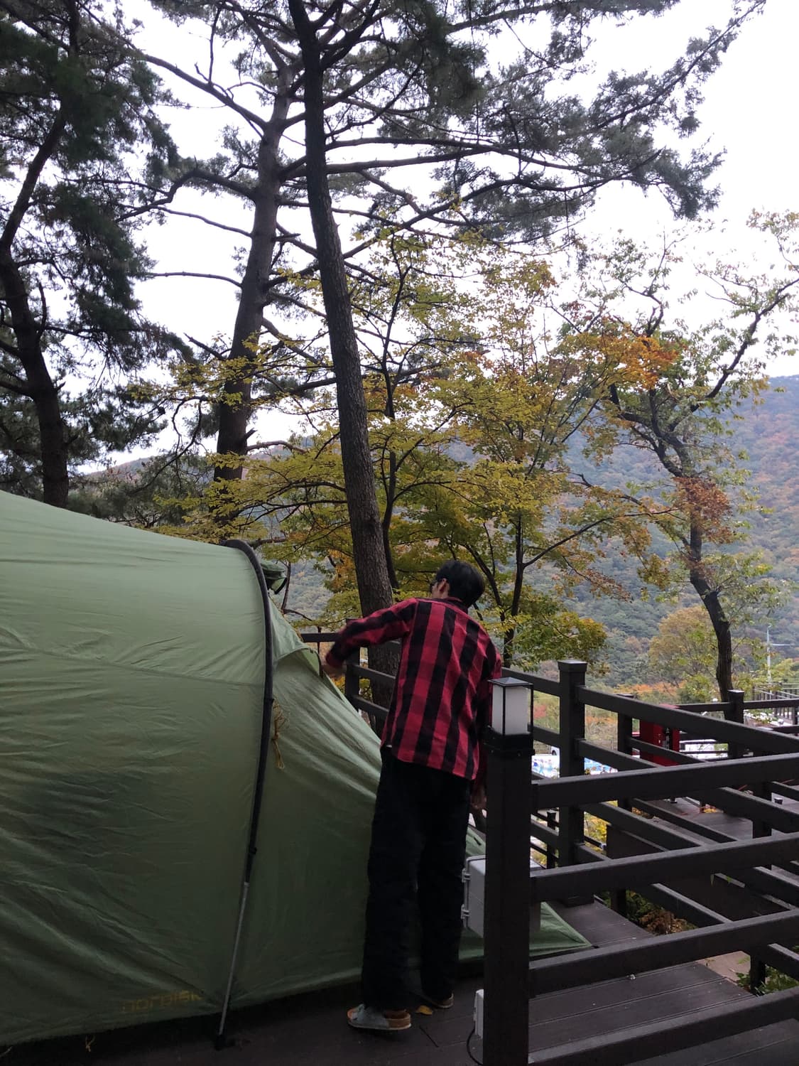 리바이스 레드탭 체크셔츠 상품이미지6