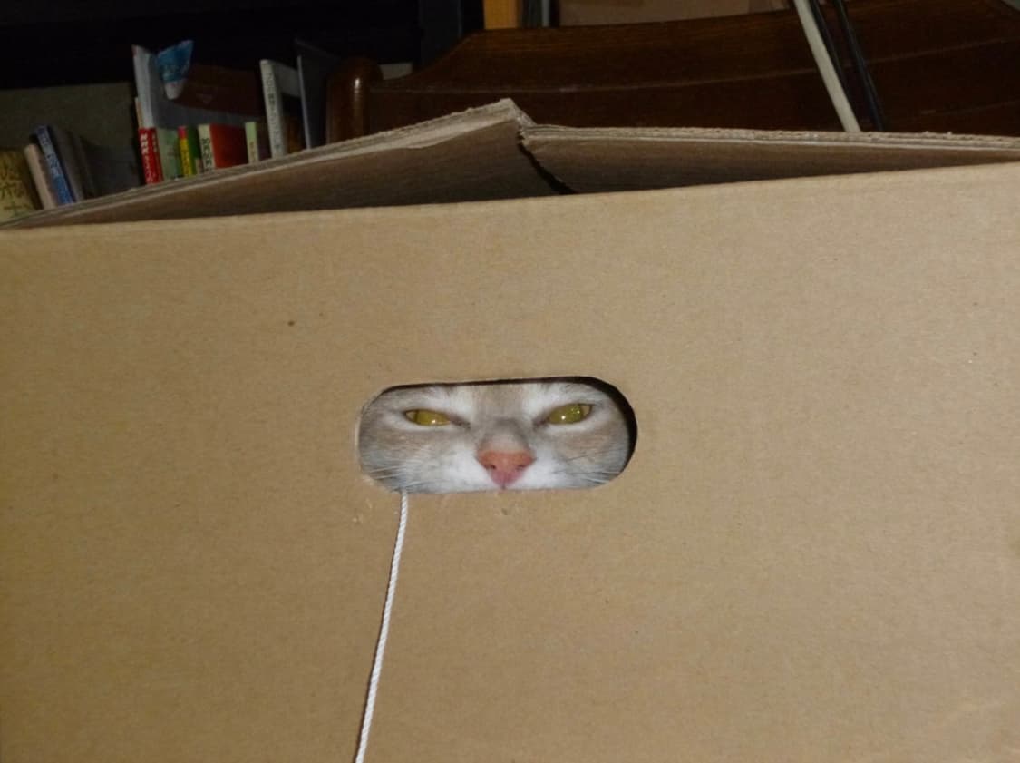 와이파이 바로 전송 ⚡️루믹스 sz9 상품이미지4