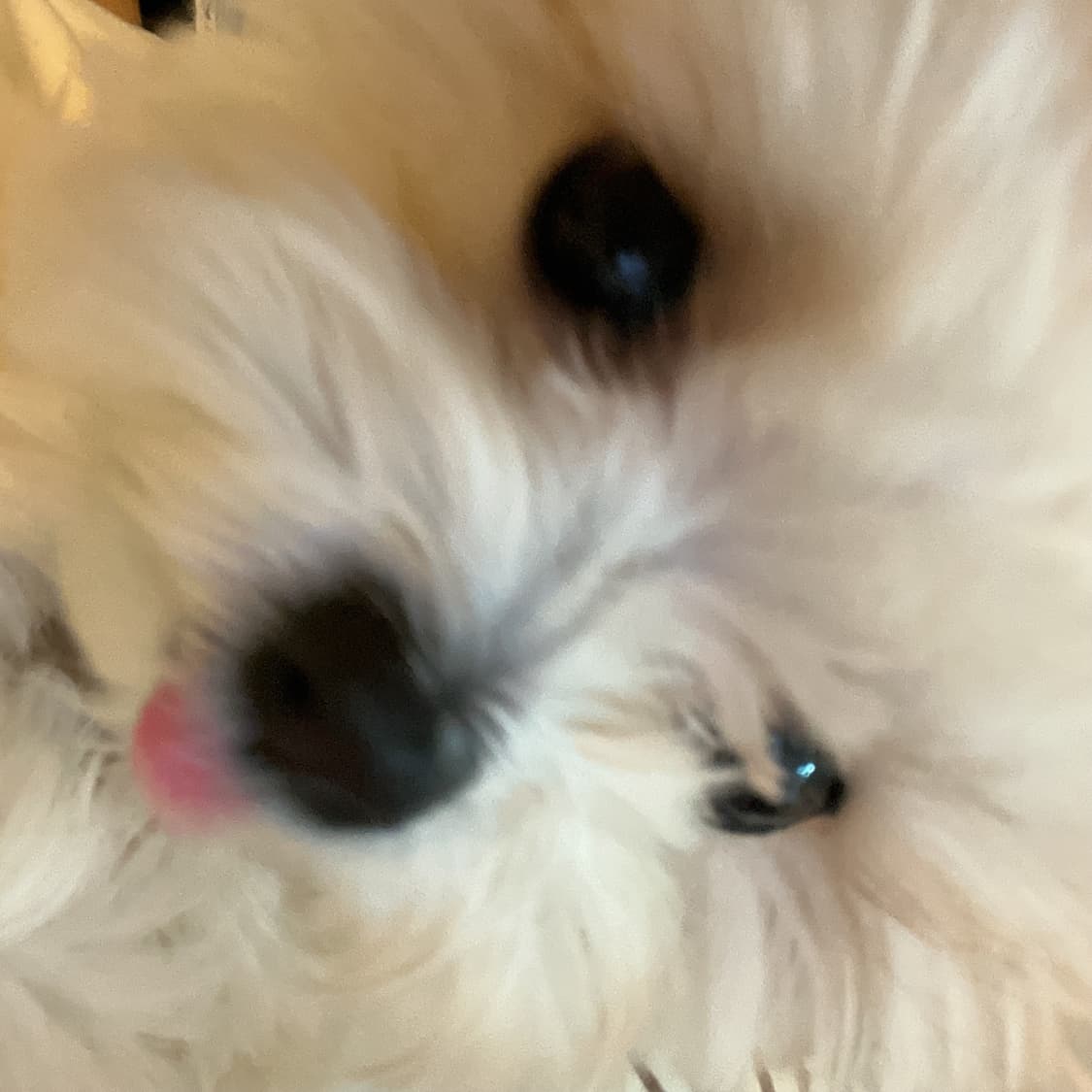 어그 울트라미니 플랫폼 블랙 4cm 7L 235 상품이미지10