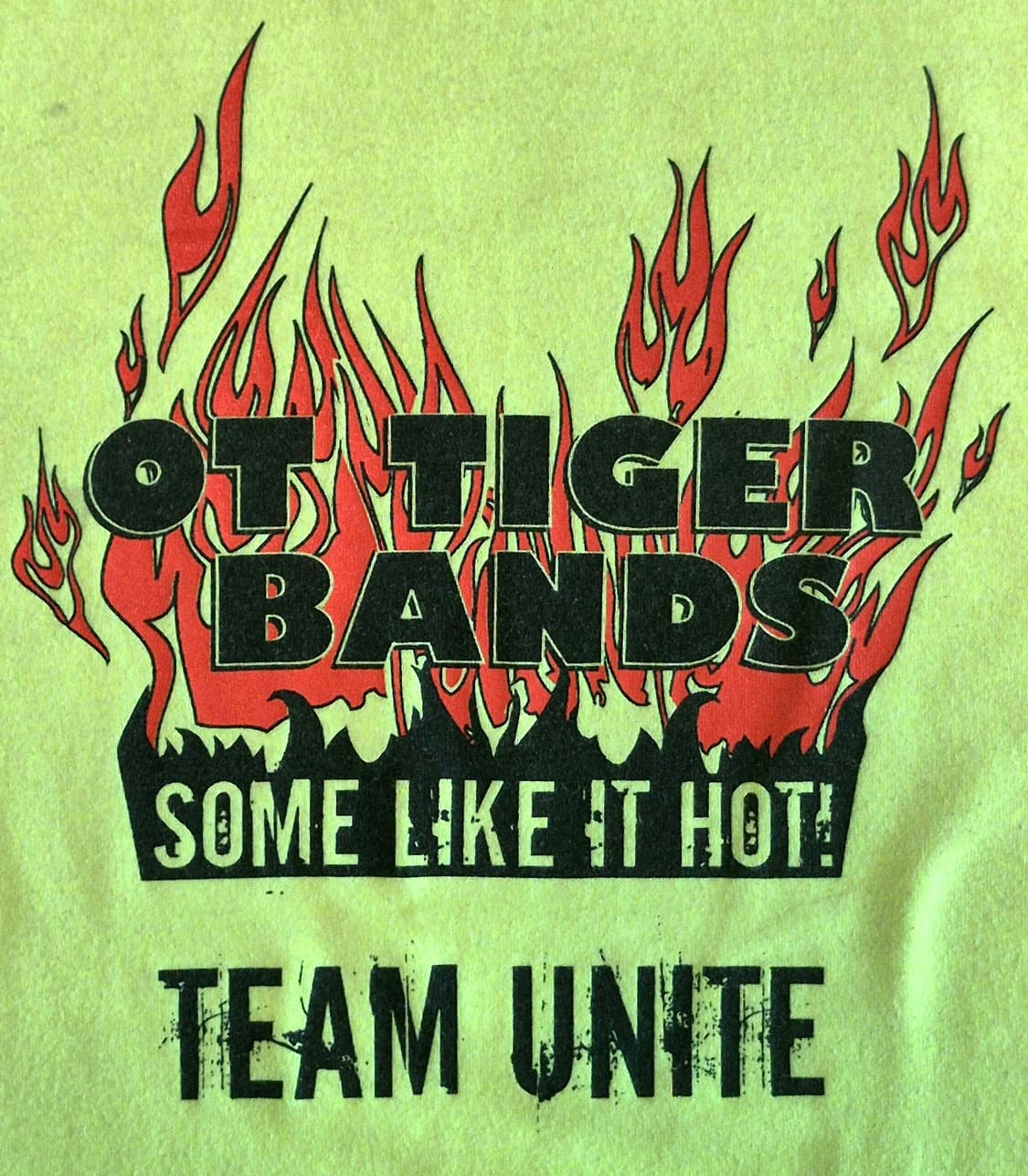 00's
Tiger Bands Graphic Vintage Tee
(S) 상품이미지2