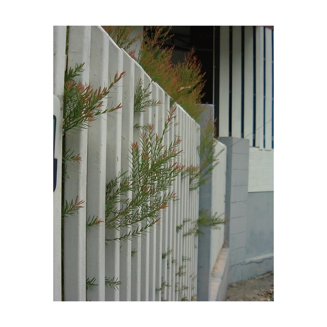 후지필름 파인픽스 1700z 상품이미지5