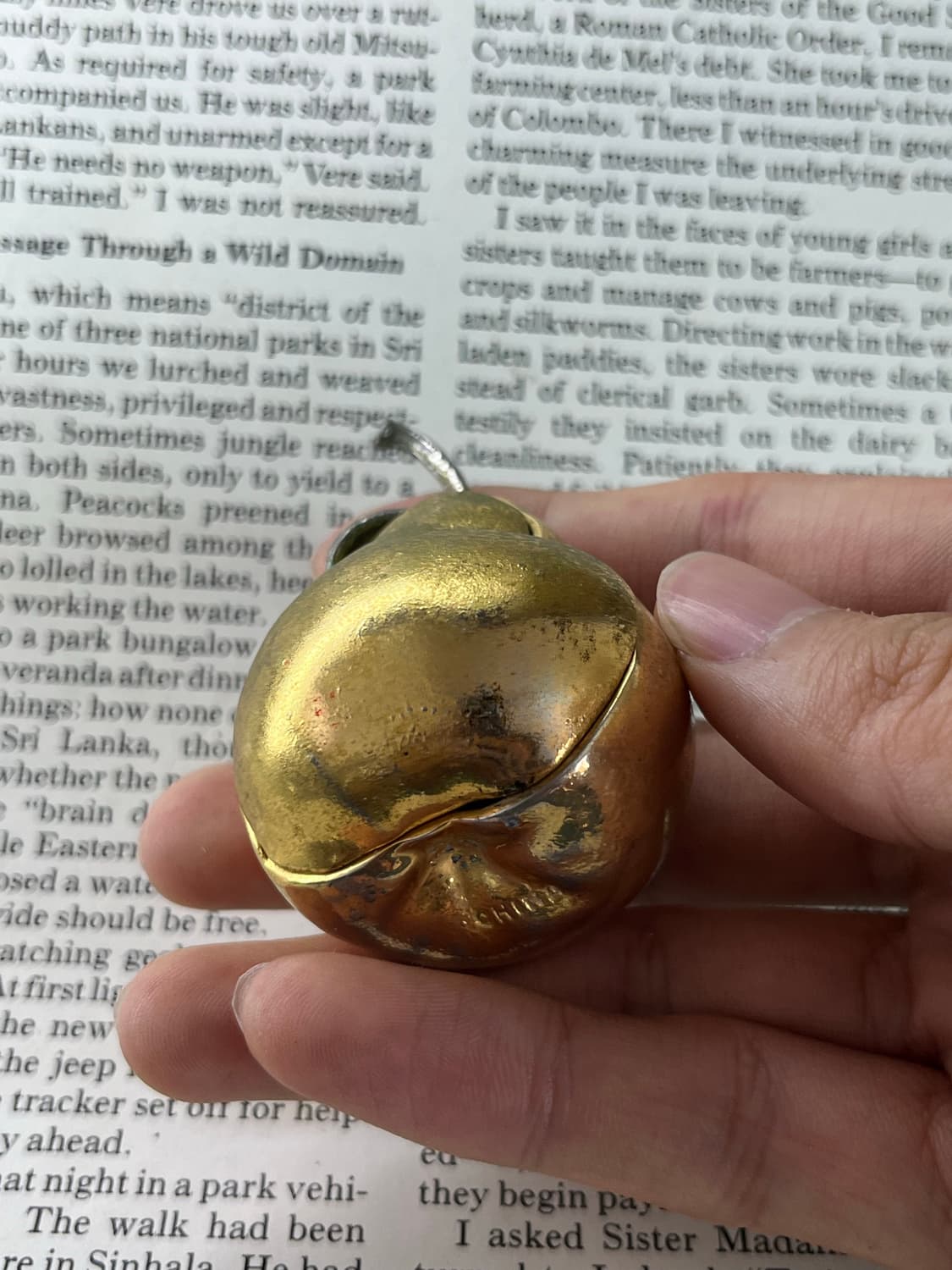 TIMEX 서양배 탁상시계 상품이미지5