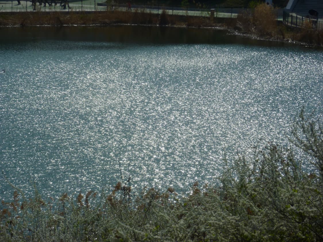 panasonic lumix 파나소닉 루믹스 DMC-ZX1 디카 작례O 상품이미지10