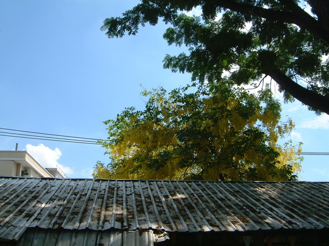 디카계의 에르메스! 라이카 미니룩스 4.3 풀박스! 상품이미지7