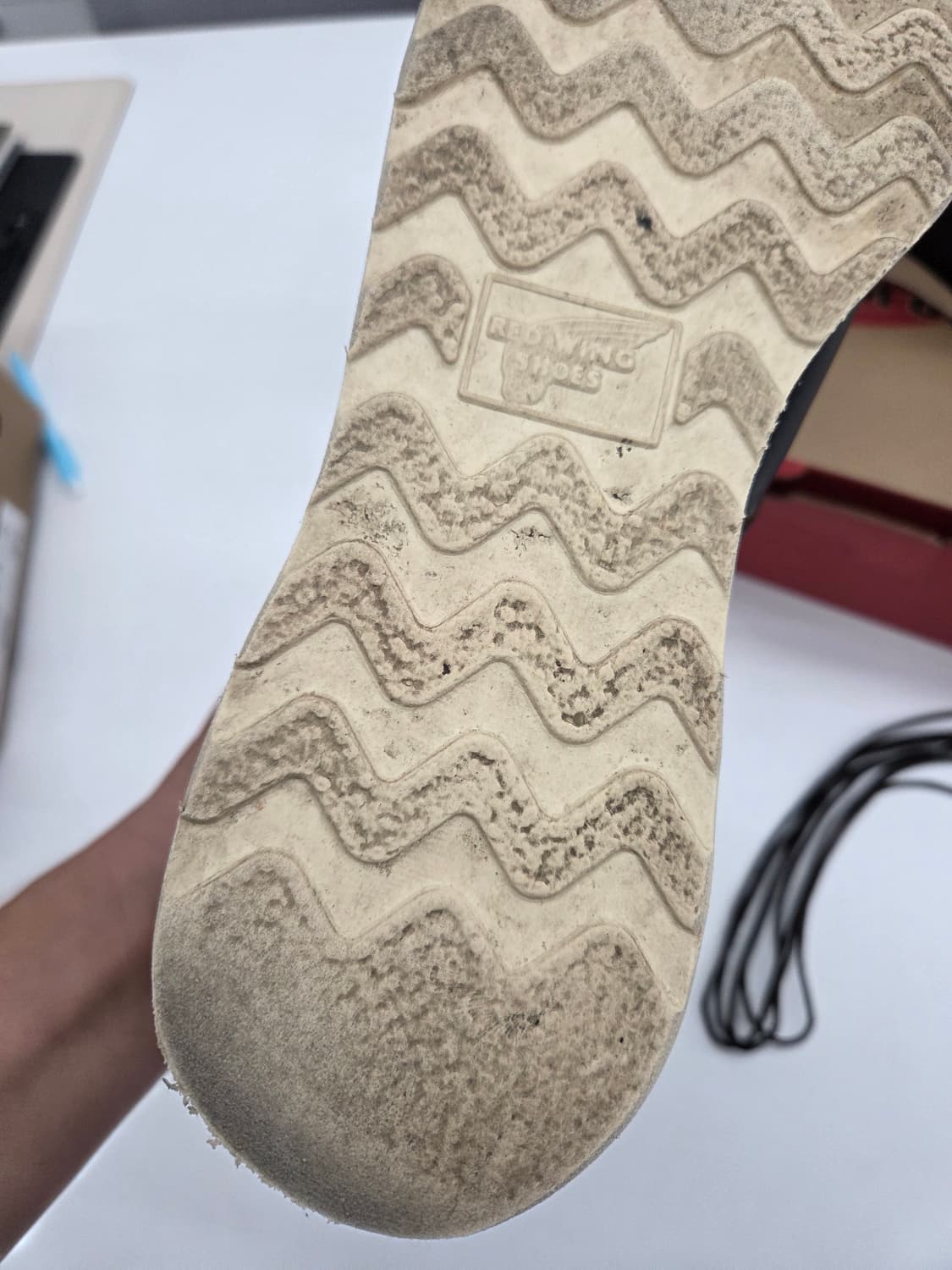 레드윙 8849 9d 270 상품이미지6