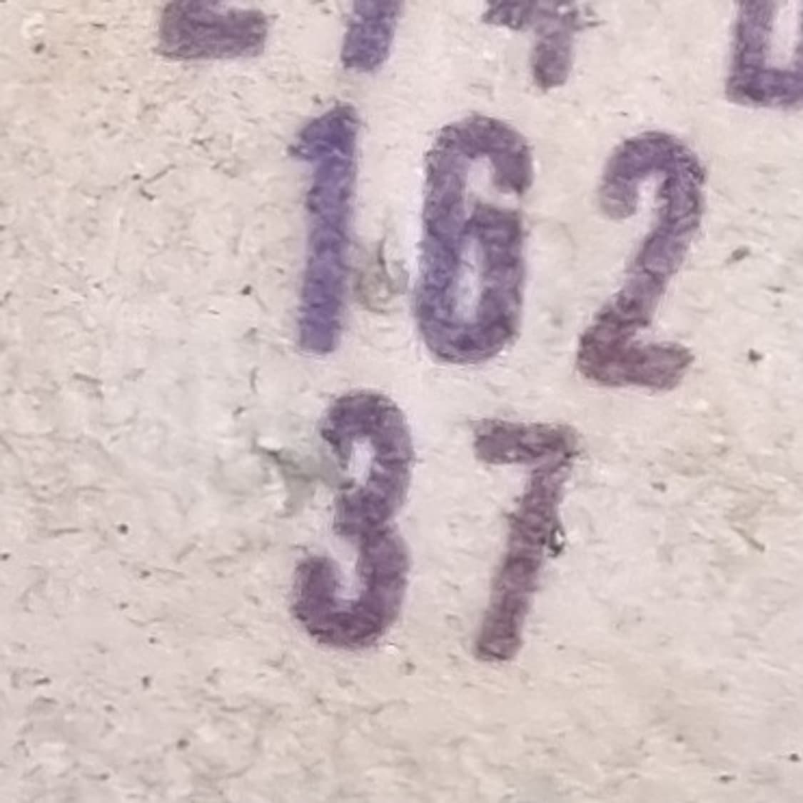 정품 골든구스 여성스니커즈37 240 상품이미지6