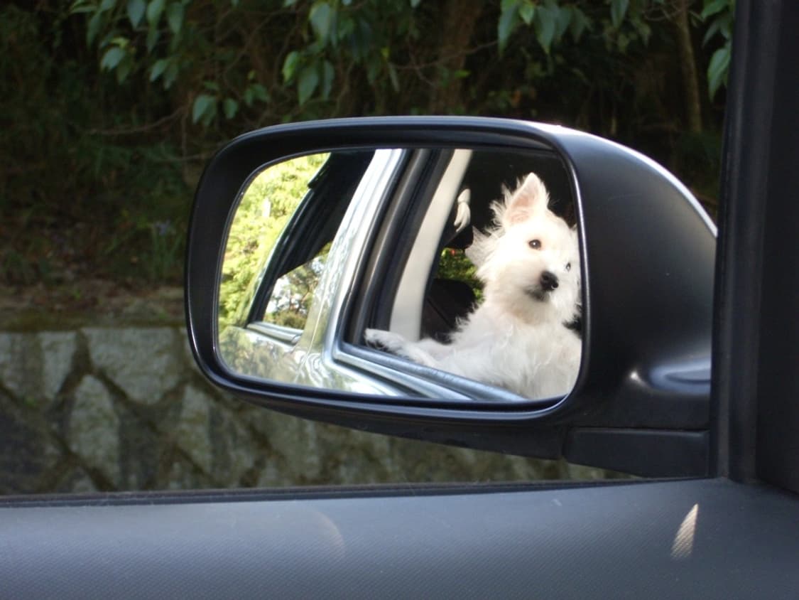 펜탁스 옵티오 PENTAX Optio S60 실버 상품이미지2