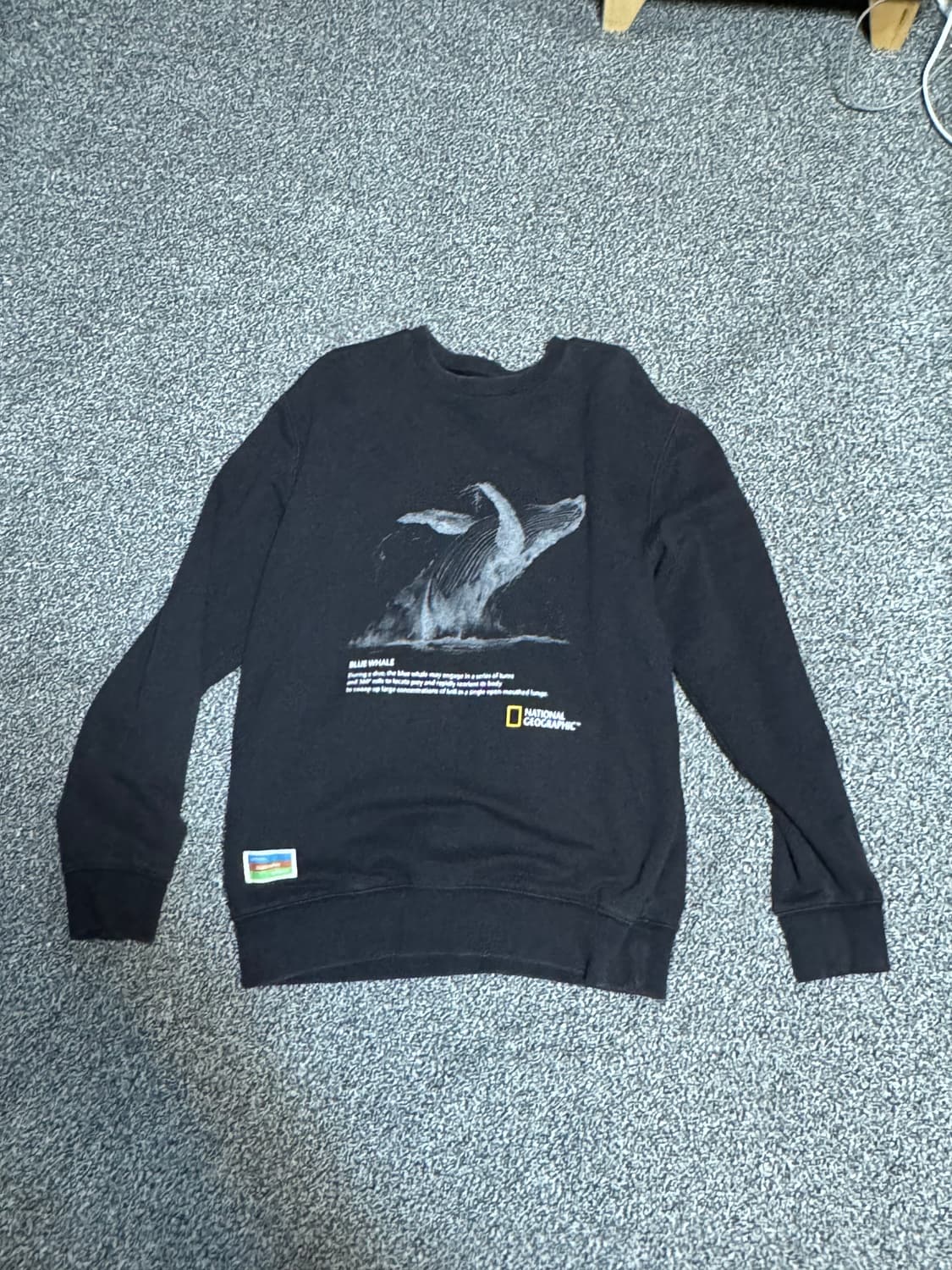 내셔널지오그래픽 맨투맨 상품이미지1