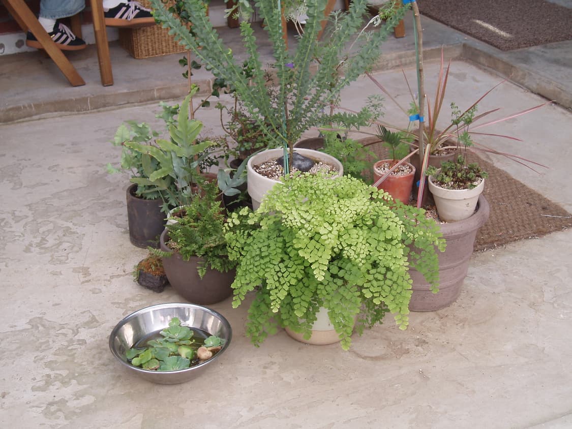 Olympus 올림푸스 뮤 410 디지털 상품이미지6