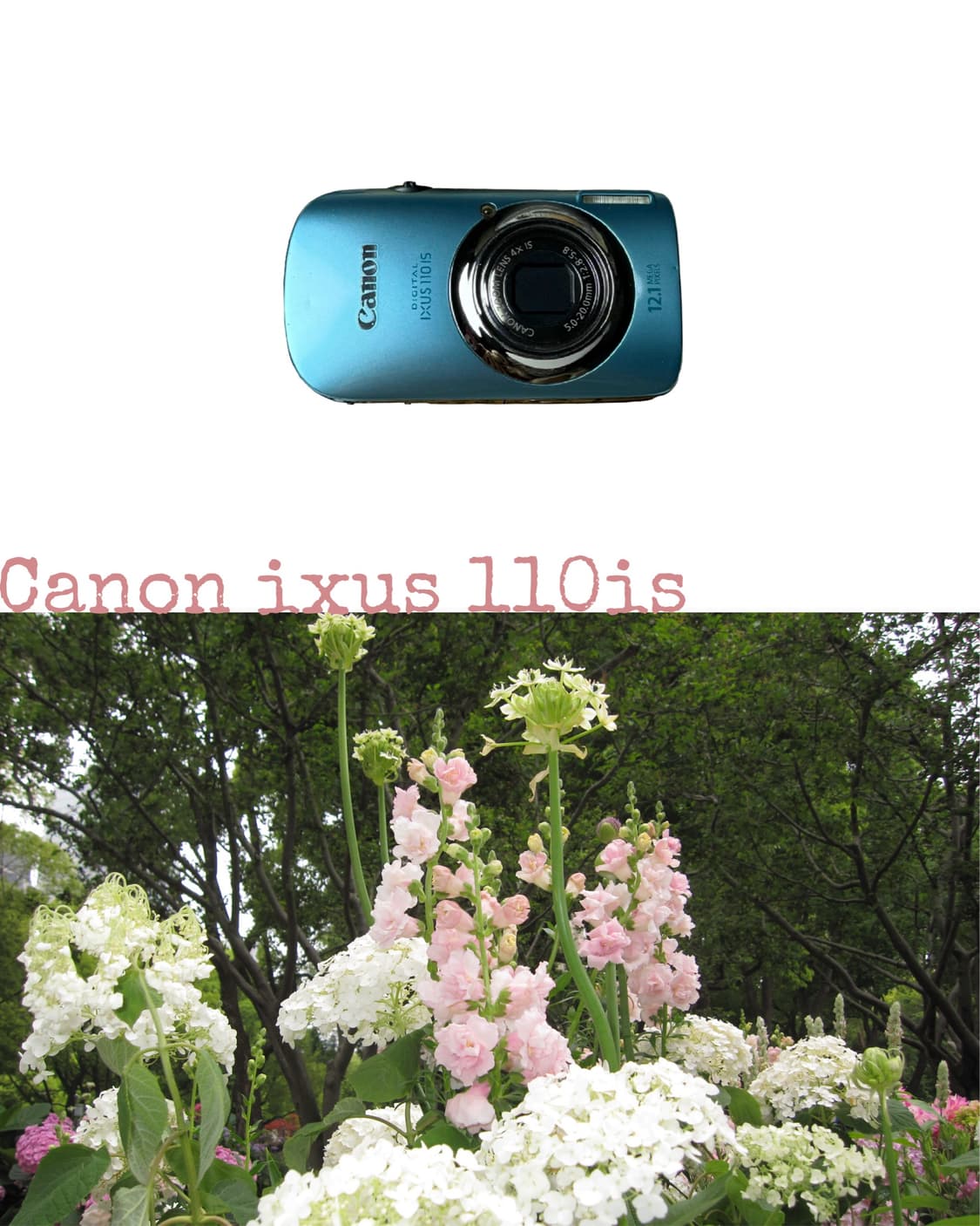 Canon ixus 110is 상품이미지1