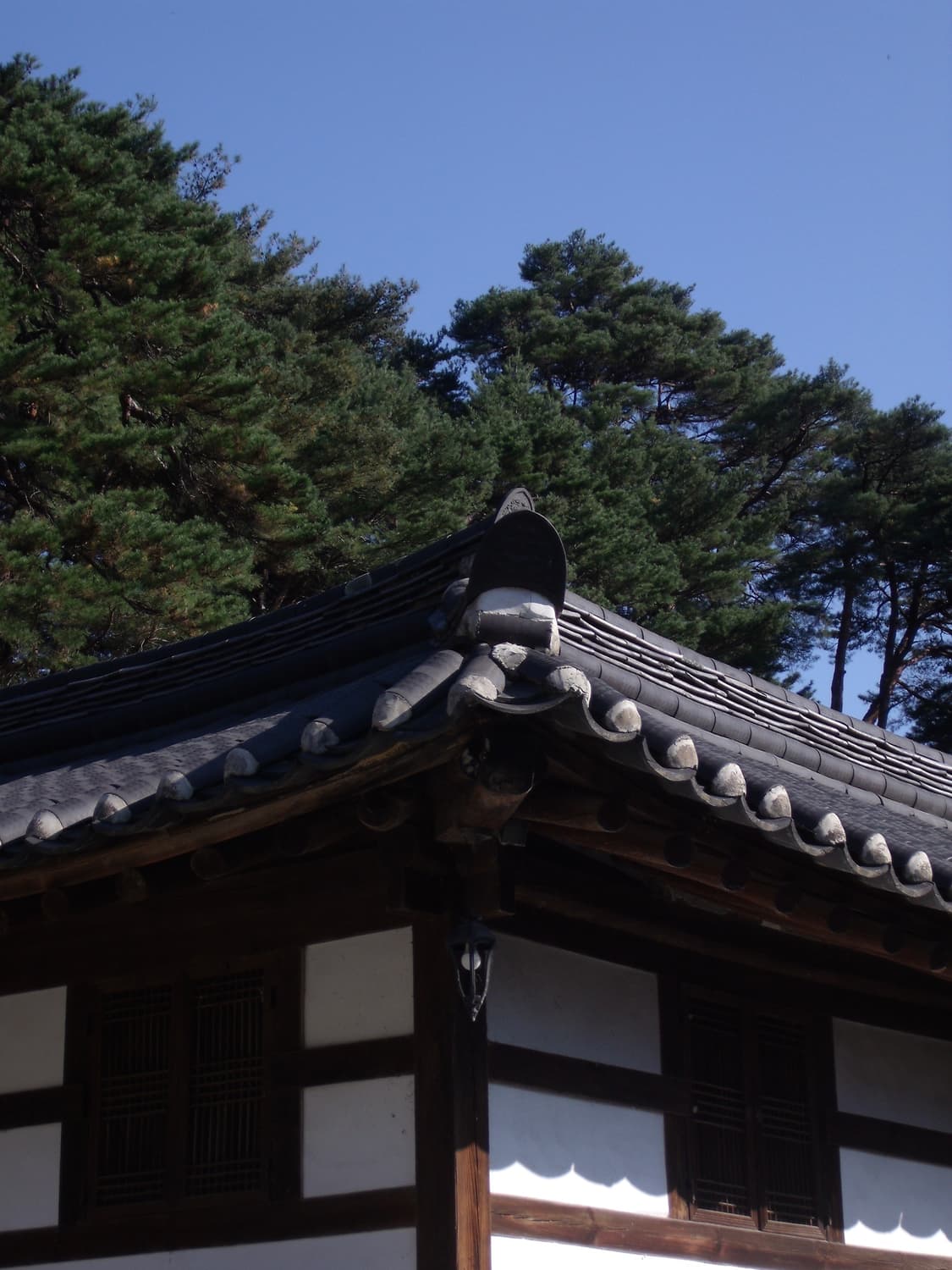 후지필름 파인픽스 j150w 빈티지디카 디지털카메라 상품이미지9