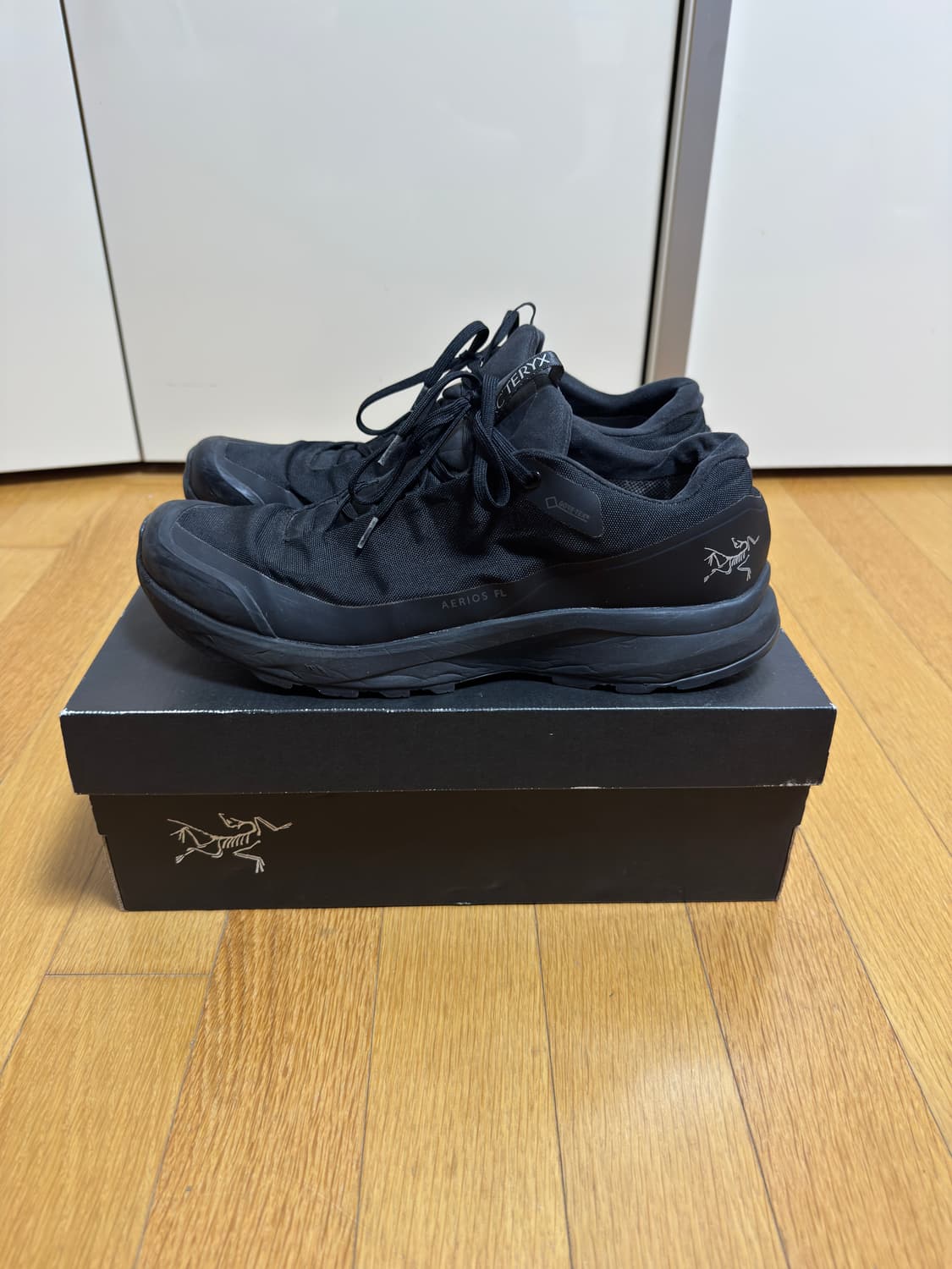 아크테릭스 에어리어스 FL GTX 블랙 270 상품이미지1