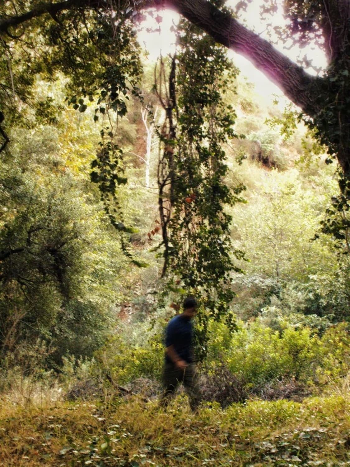 캐논 파워샷 G10 Canon G10 (작례o) 상품이미지7