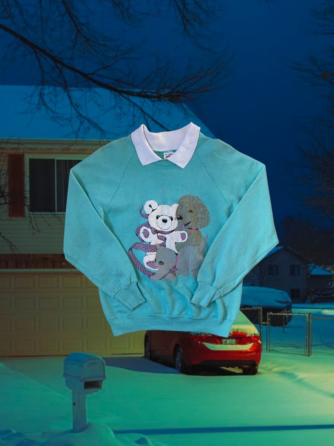 프룻 오브 더 룸 스웻셔츠 (Woman L) AB1749 상품이미지1