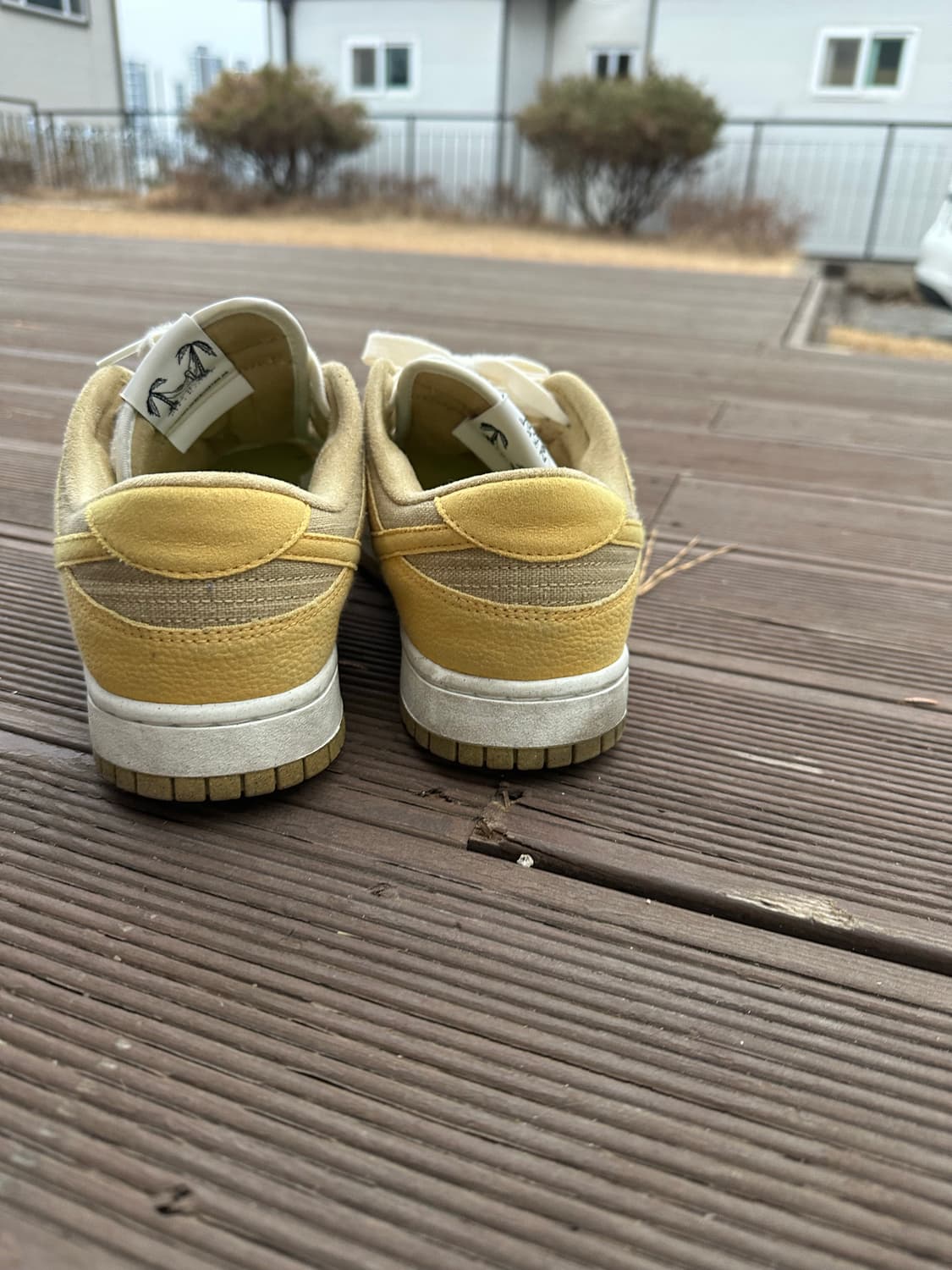 나이키 덩크 로우 넥스트 네이쳐 썬 클럽 280 상품이미지4