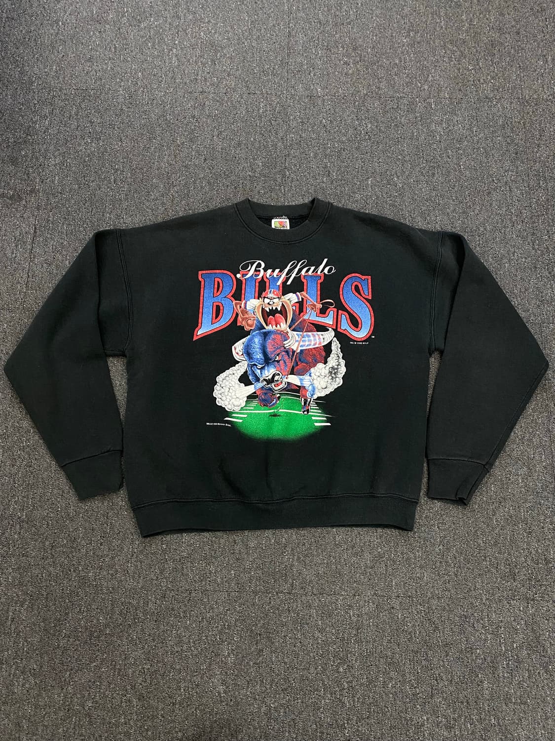 프루트오브더룸 루니튠즈 스웻셔츠 상품이미지2