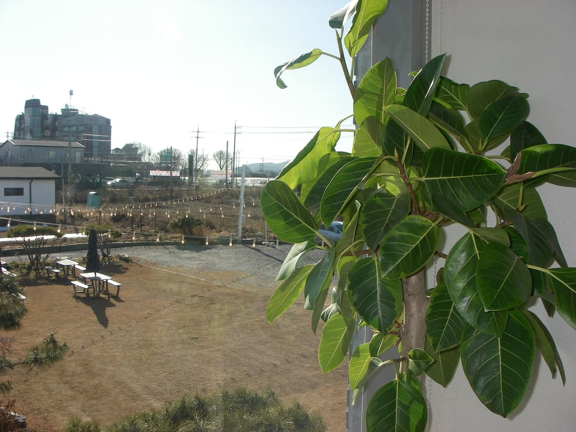 펜탁스 옵티오 PENTAX Optio W10 방수 디카 상품이미지7