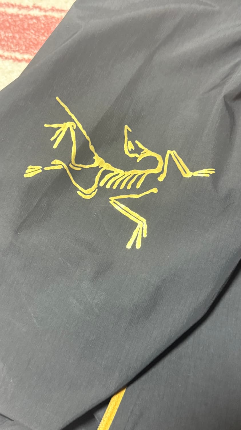 [L] BEAMS × Arc’teryx FW21  빔즈 아크테릭스 제타 상품이미지4