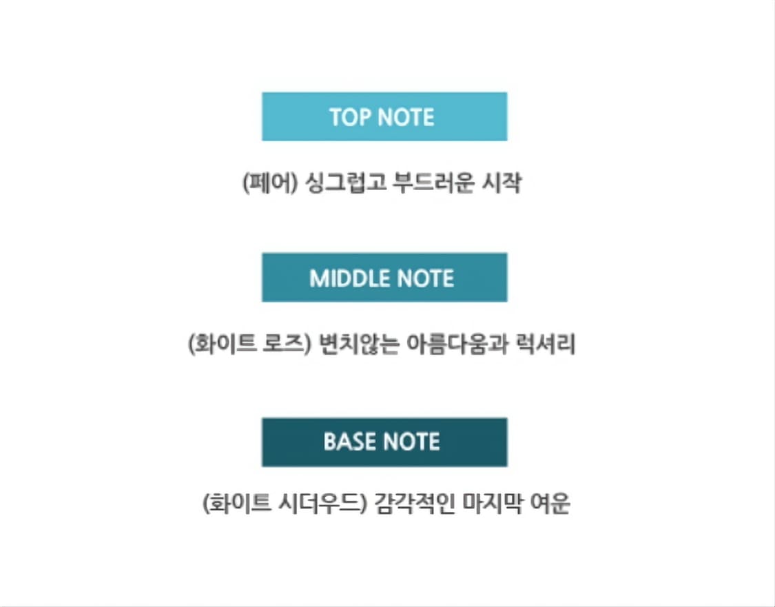 코치 뉴욕 EDT 90ml 상품이미지4