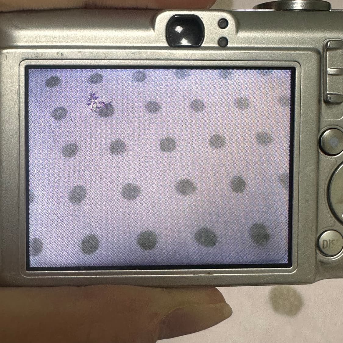 캐논 익서스 55 (익시60) ixus55 ixy60 작례O 상품이미지4