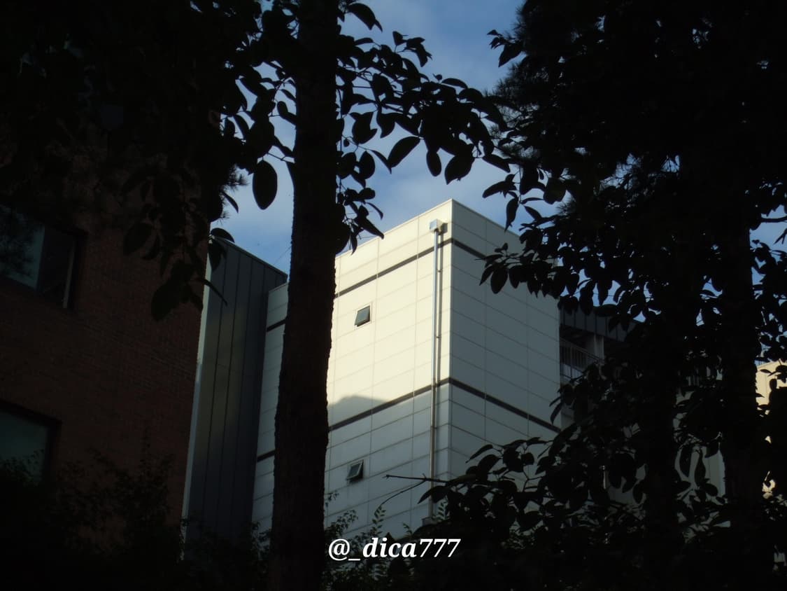 후지필름 파인픽스 Z1 디카 풀박스 상품이미지8