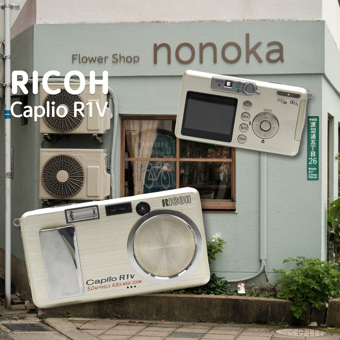 리코 카프리오 R1v 디카 상품이미지1