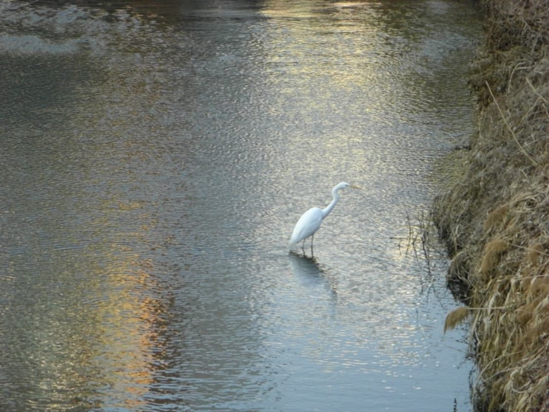 [작례☑️] Casio EXILIM EX-V8 디지털카메라 상품이미지7