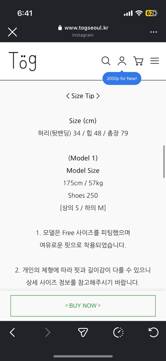 togseoul 벌룬 스커트&레이스 레이어드 스커트 상품이미지5