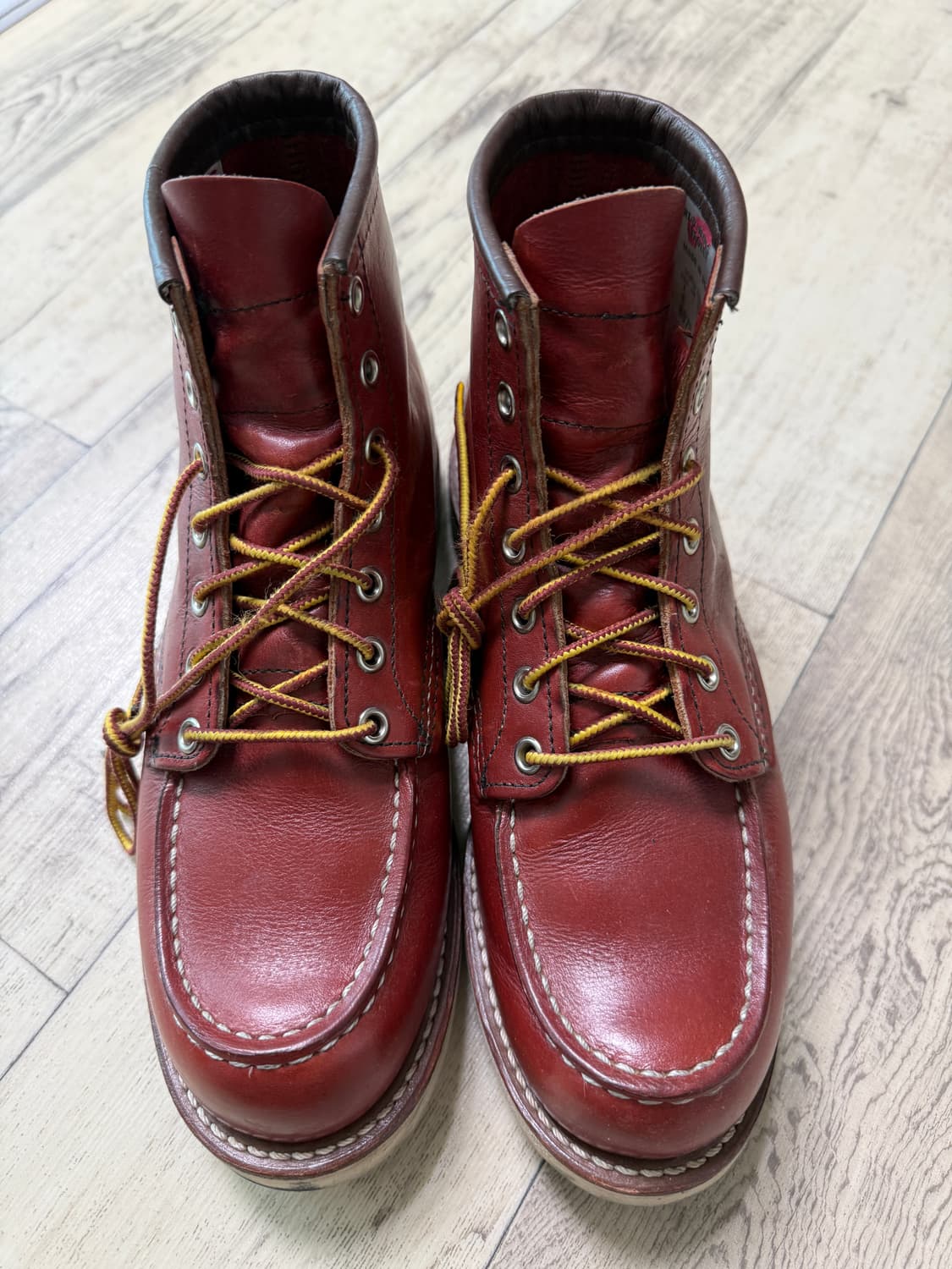 레드윙 아이리쉬세터 8875 7E 상품이미지1