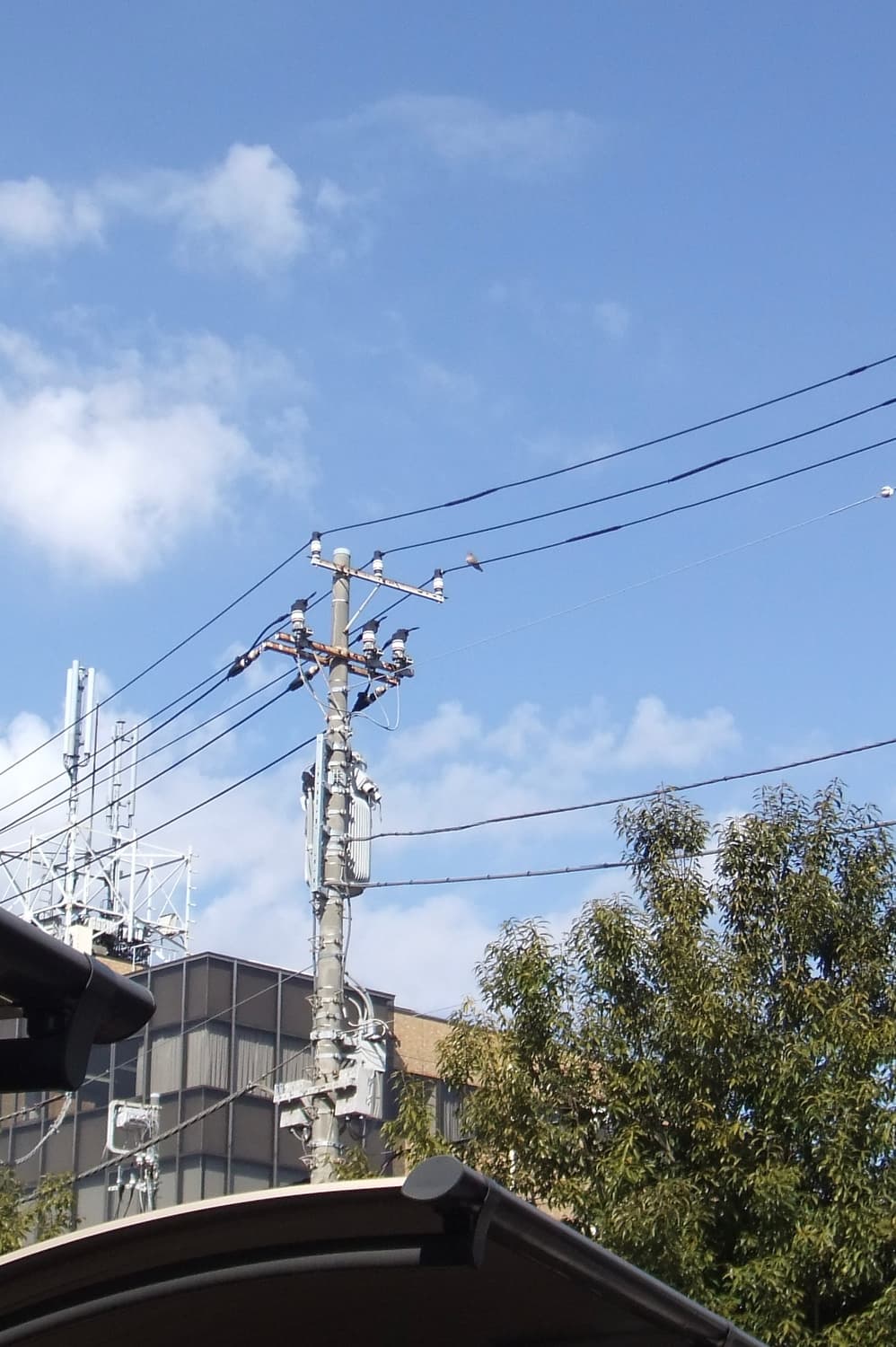 파인픽스 JZ300 실버 ✨  데일리 감성디카 🤍 상품이미지6