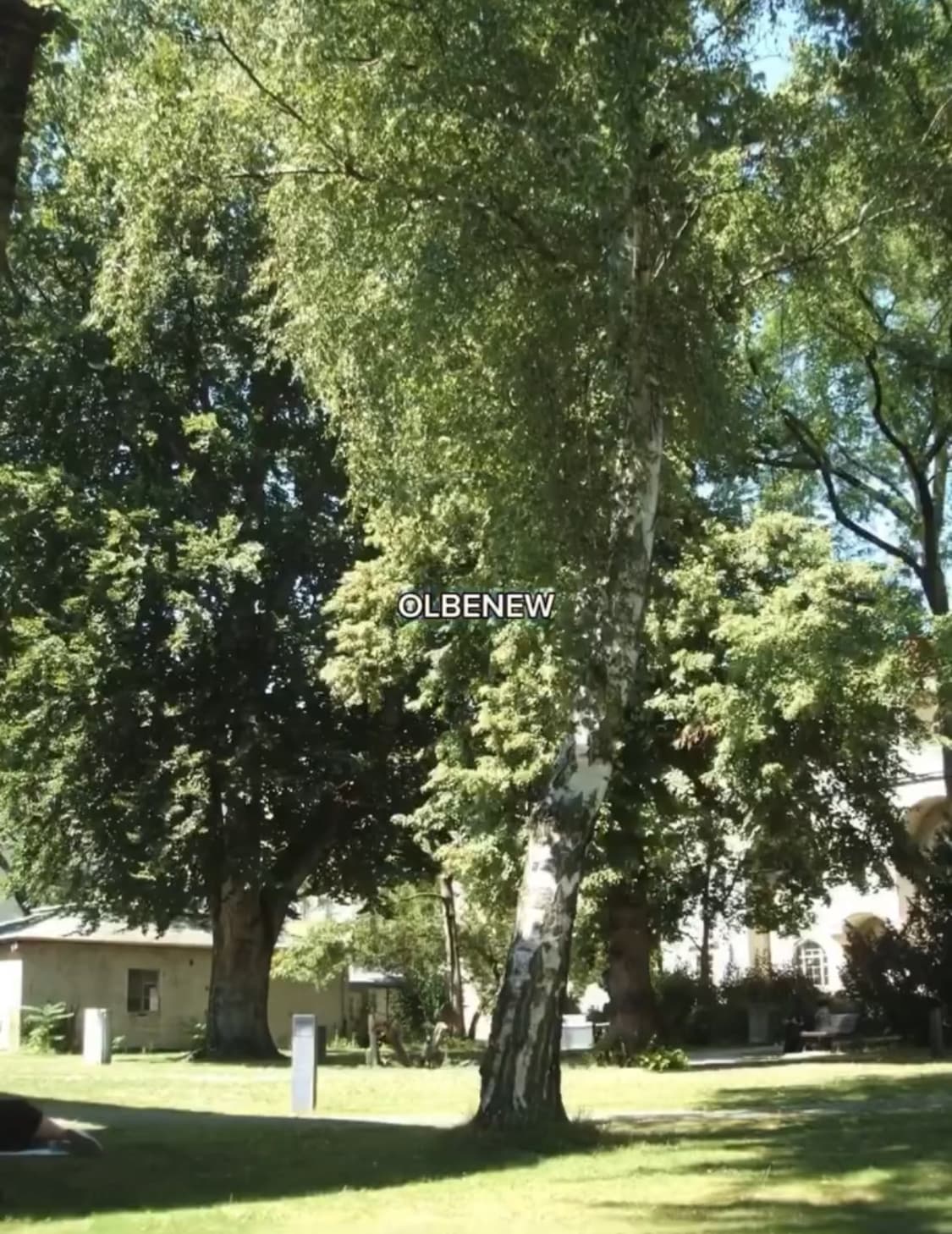 후지필름 파인픽스 A310 박스세트 상품이미지4