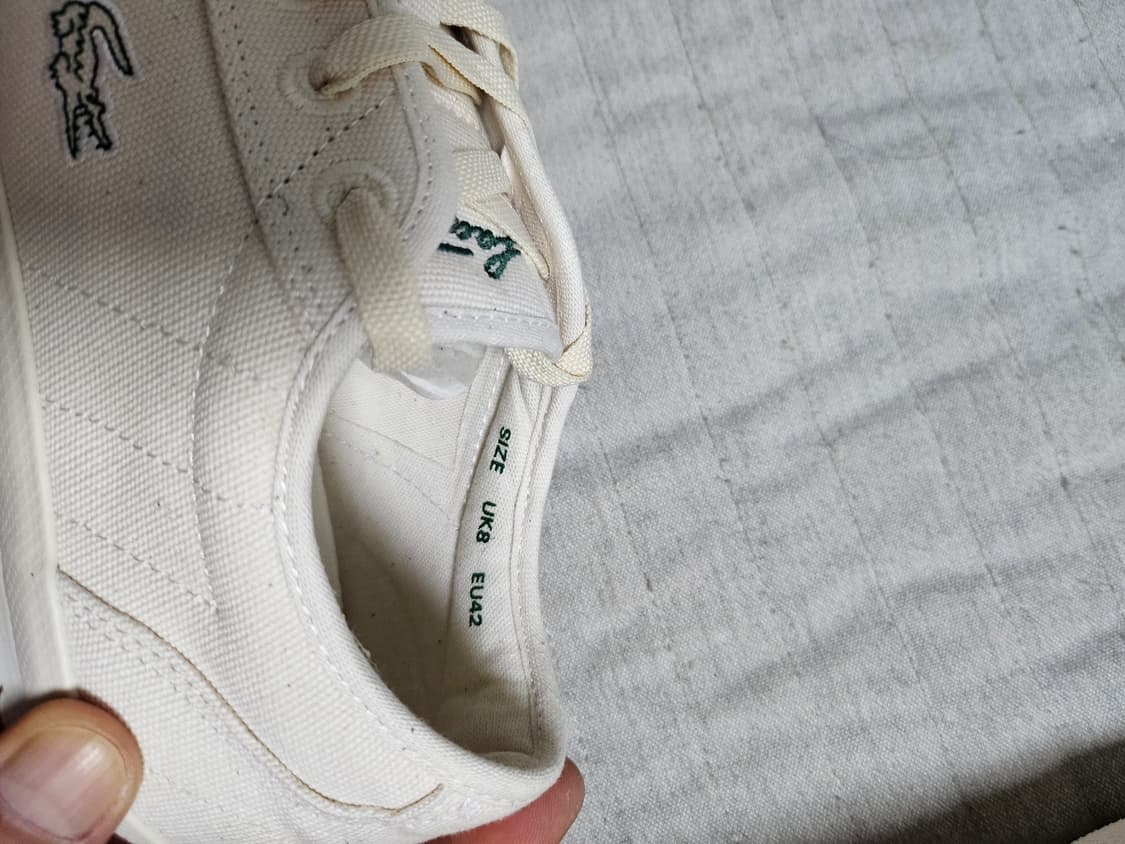 라코스테270  상품이미지7