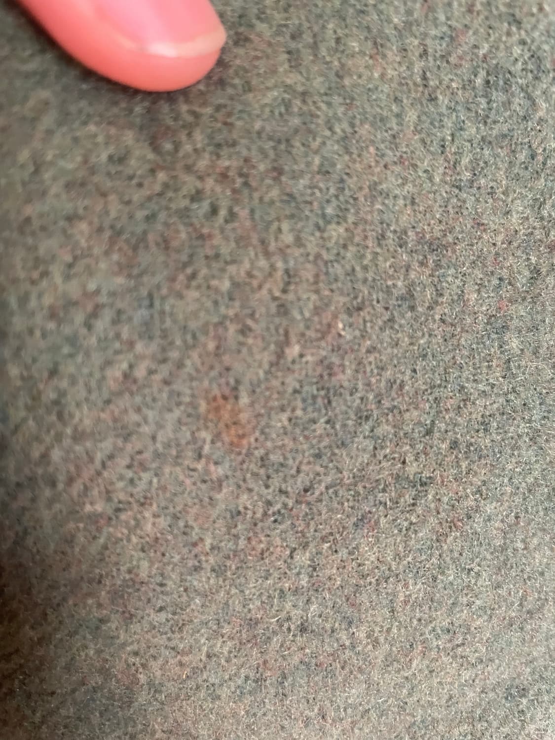 실베르꼬쉬 뮤트 올리브 그린 모리 하구미 후드 하프코트 상품이미지4