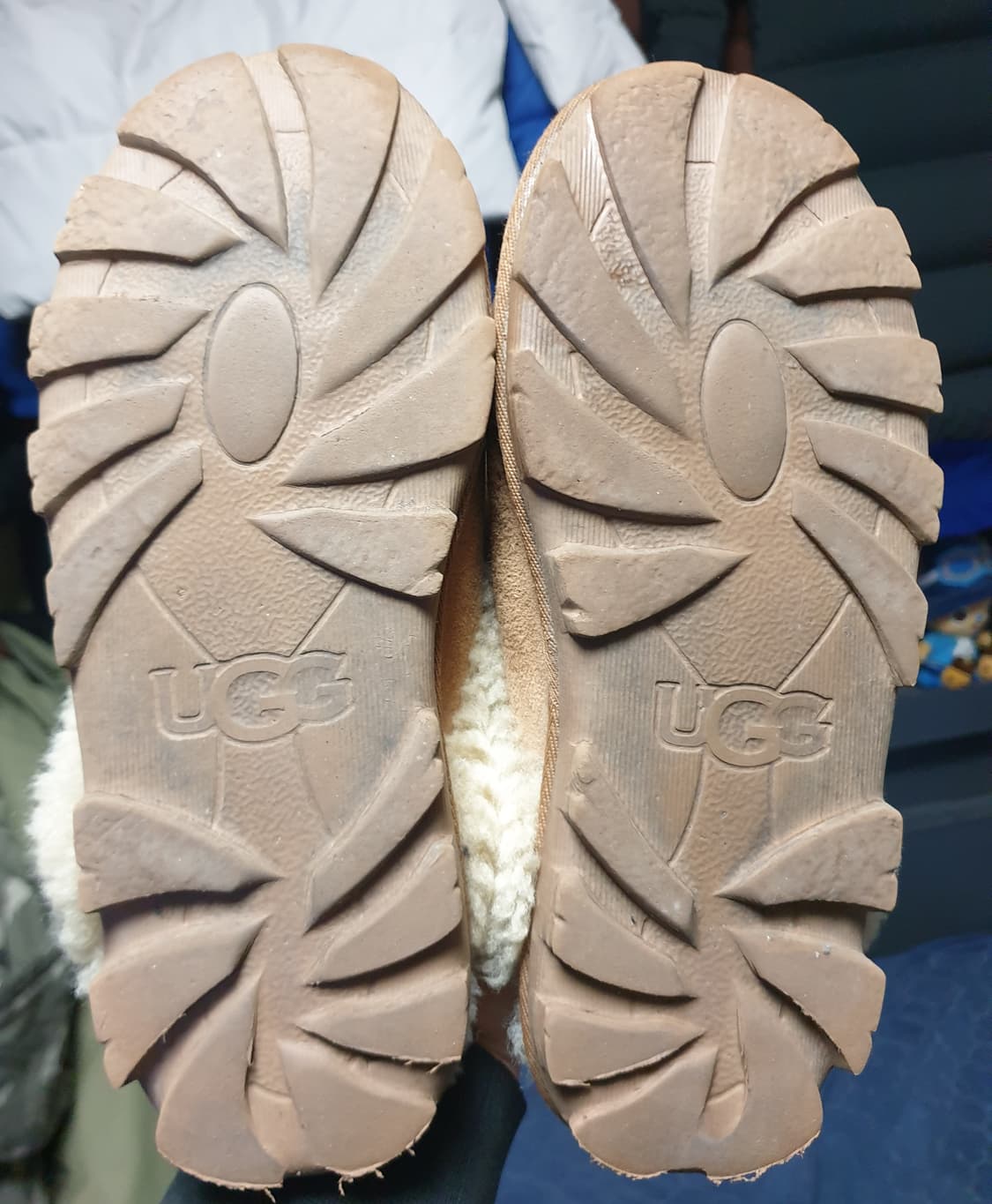 어그 코케트 슬리퍼 체스트넛 US6 (230) 5125-CHE 상품이미지4