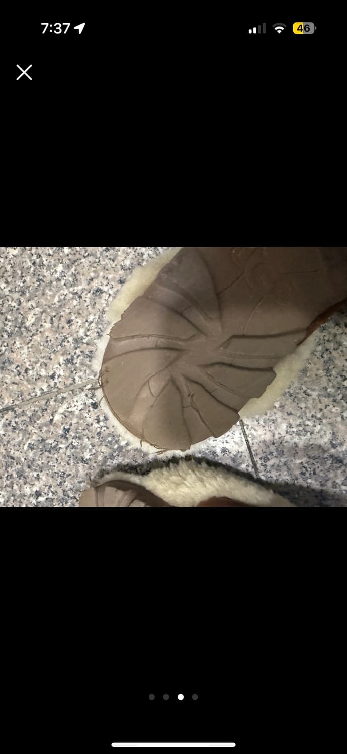 어그 코케트 체스트넛 8 상품이미지4