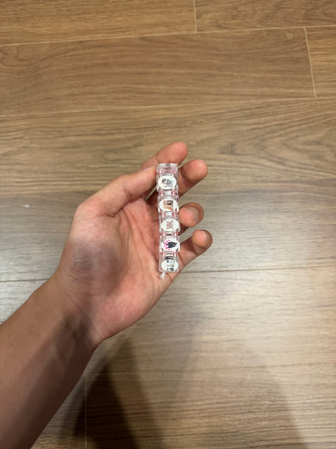 Bazo 1199 cat 상품이미지2