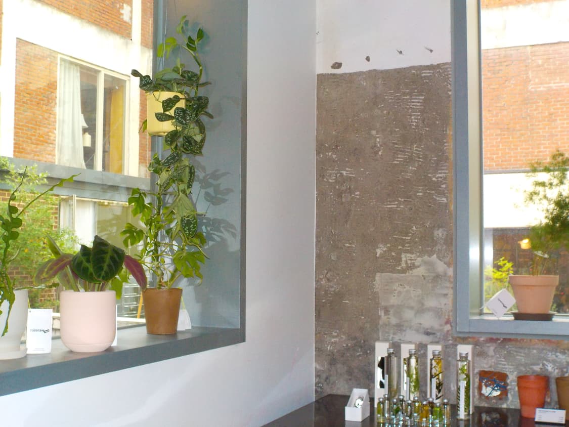 [초보추천템]Nikon Coolpix S5 실버 빈티지디카 상품이미지9