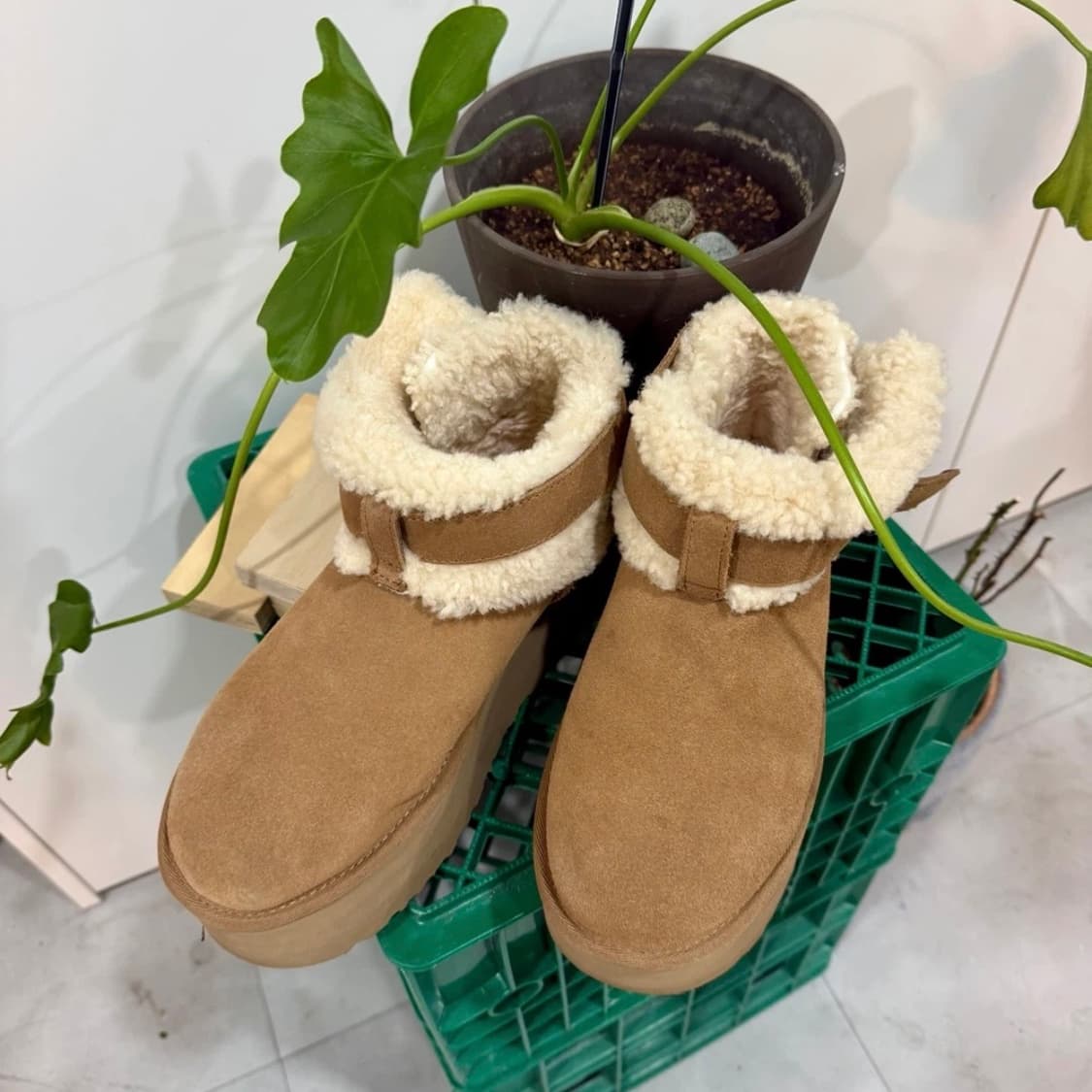 UGG 어그 울트라 미니 벨티드 롤러 플랫폼 부츠 240 상품이미지2